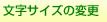 文字サイズの変更